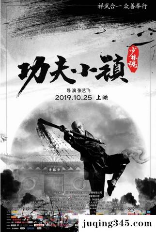 2019动作剧情《功夫小镇》剧情介绍