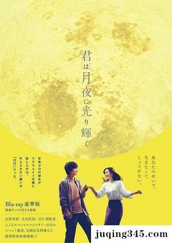 2019爱情剧情《你在月夜里闪耀光辉》720p.BD中字