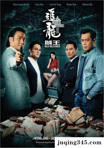 2019动作剧情《追龙2》剧情介绍