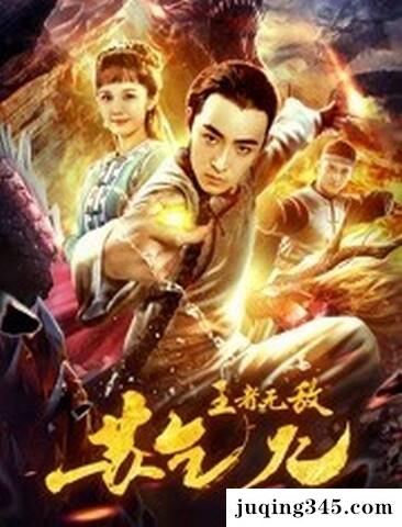 2019大陆动作《王者无敌苏乞儿》剧情介绍