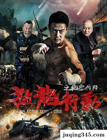 2018动作《猛龙行动之绝密代码》剧情介绍