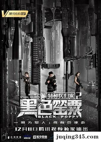 2018动作剧情《特种兵归来2：黑色罂粟》剧情介绍