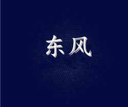 东风剧情介绍