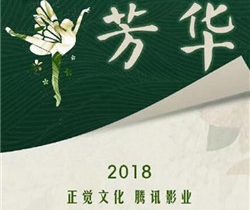 芳华剧情介绍