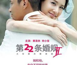 第22条婚规2剧情介绍