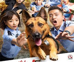 警犬来啦剧情介绍