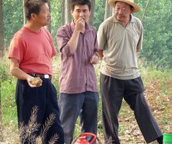 乡里彩虹城里雨剧情介绍